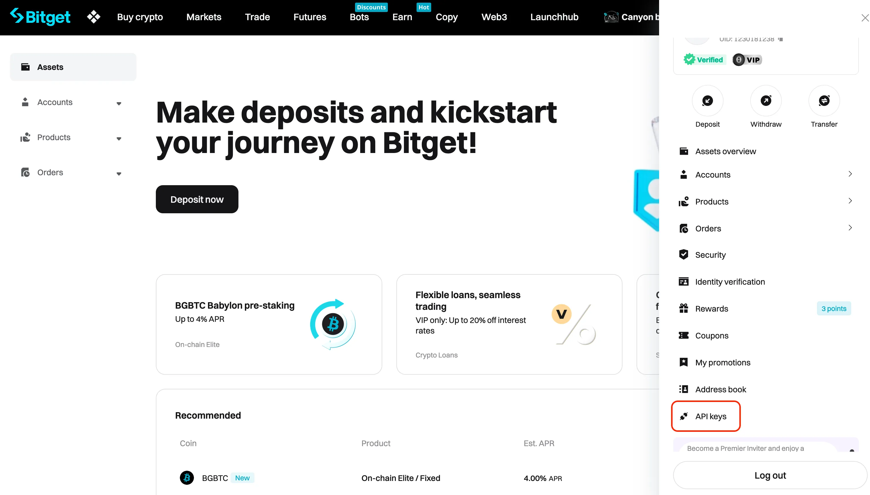 An image of the Bitget website with the 'API keys' button highlighted.